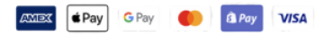 Smmorion Payment Methods visa Mastercard Gpay